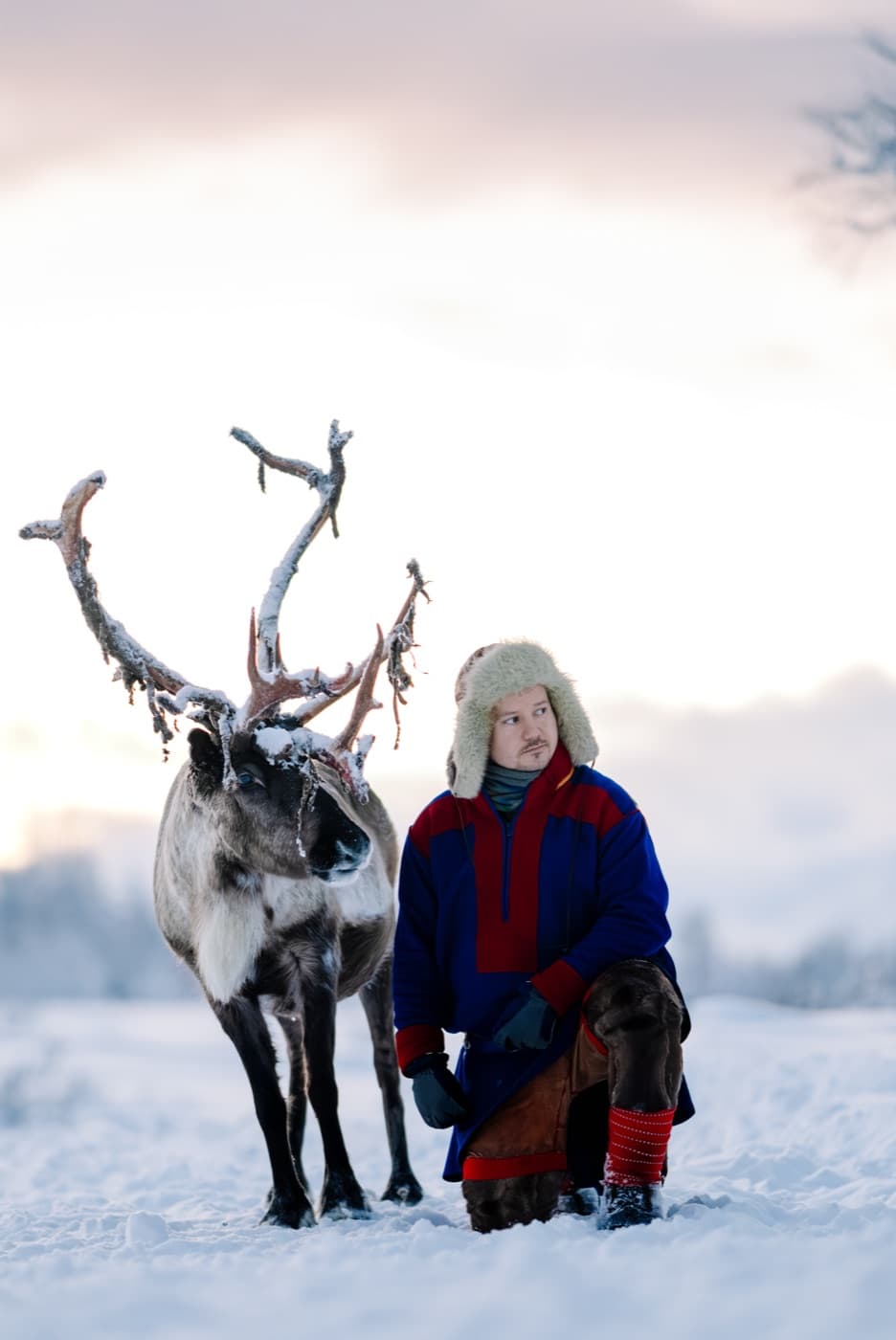 Sami guide kneeling beside reindeer in Arctic winter sunset